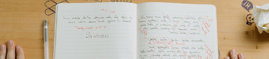 A sketch filled with essay writing